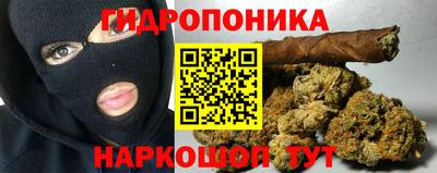 гидропоника Будённовск