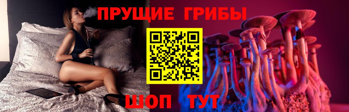 Галлюциногенные грибы Magic Shrooms  Вход с VPN  Котлас  Галлюциногенные грибы ЛСД 