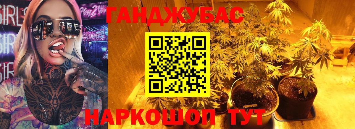 Марихуана сатива Котлас